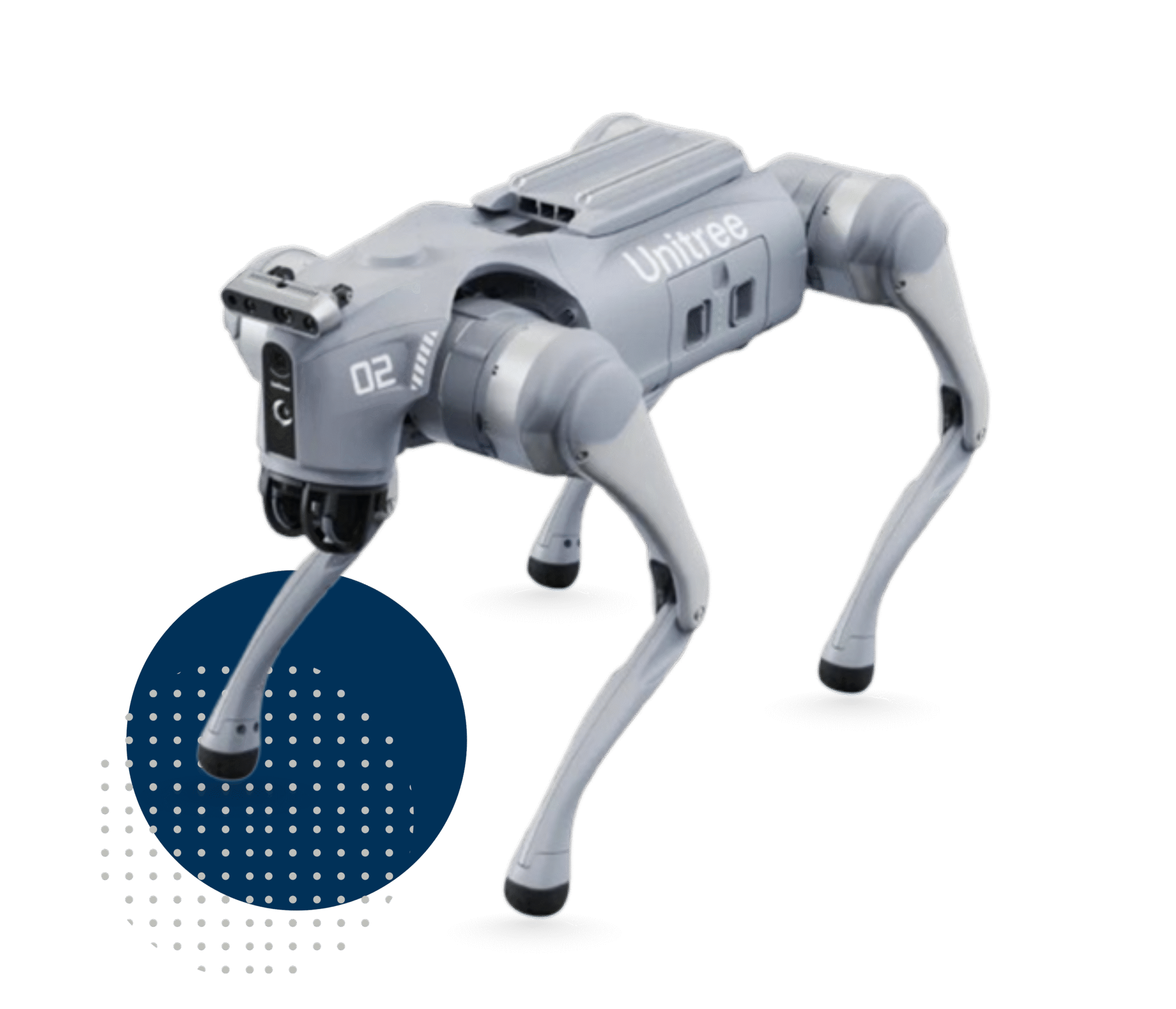 Quadruped Robot - Educational Version​